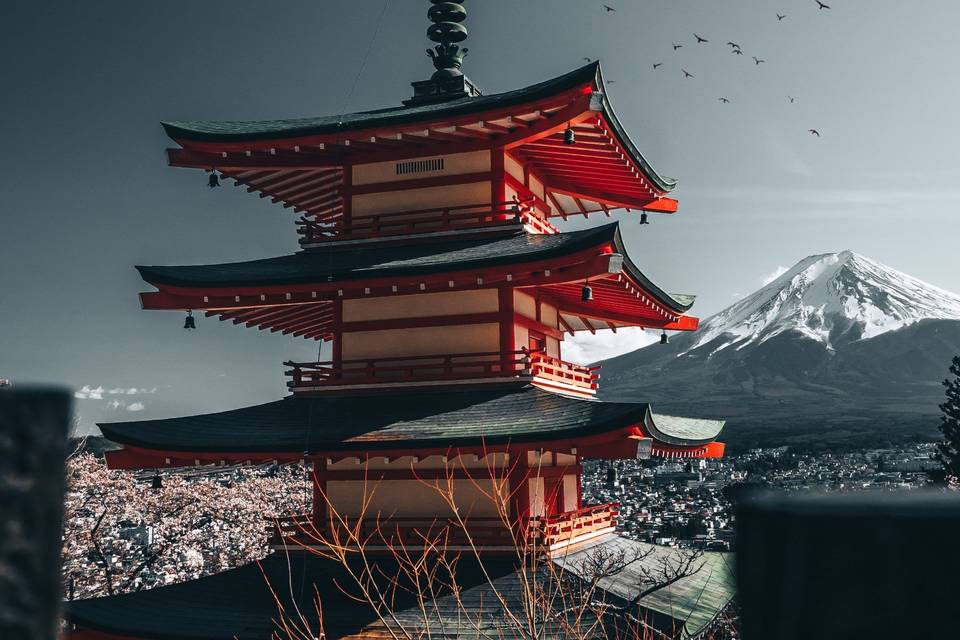 Japón