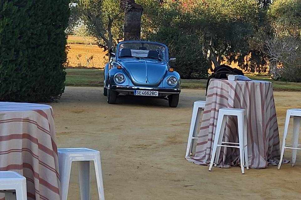 Maggiolinoclassicexperience