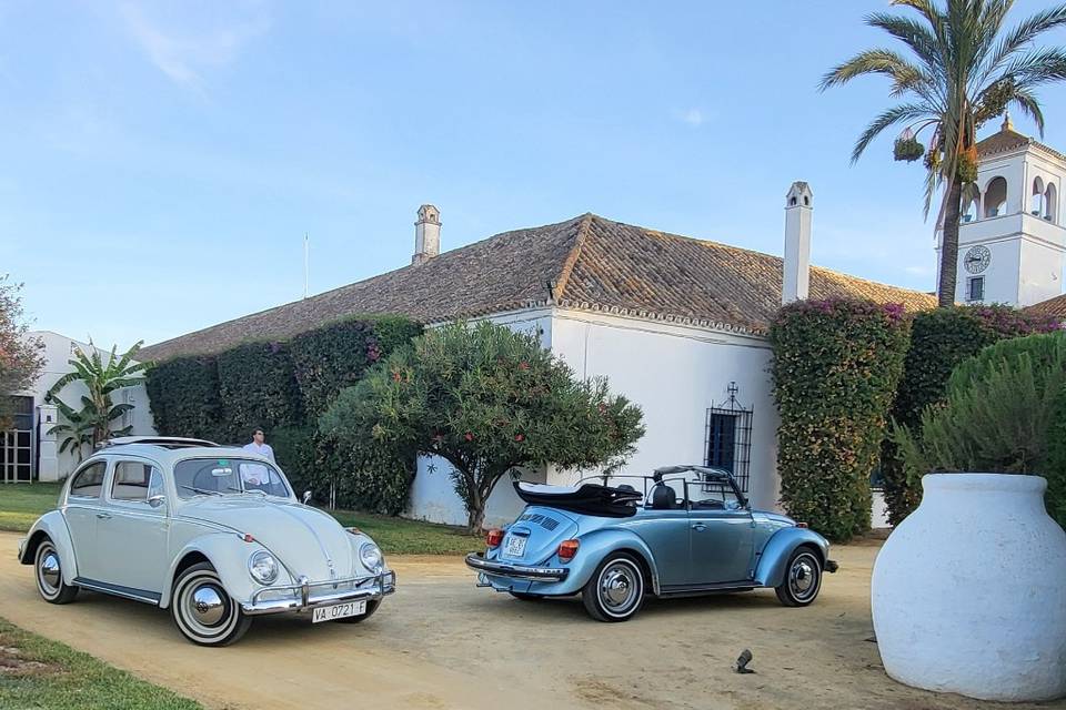 Maggiolinoclassicexperience
