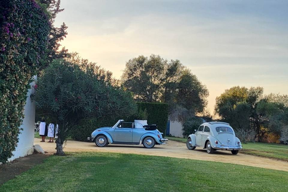 Maggiolinoclassicexperience