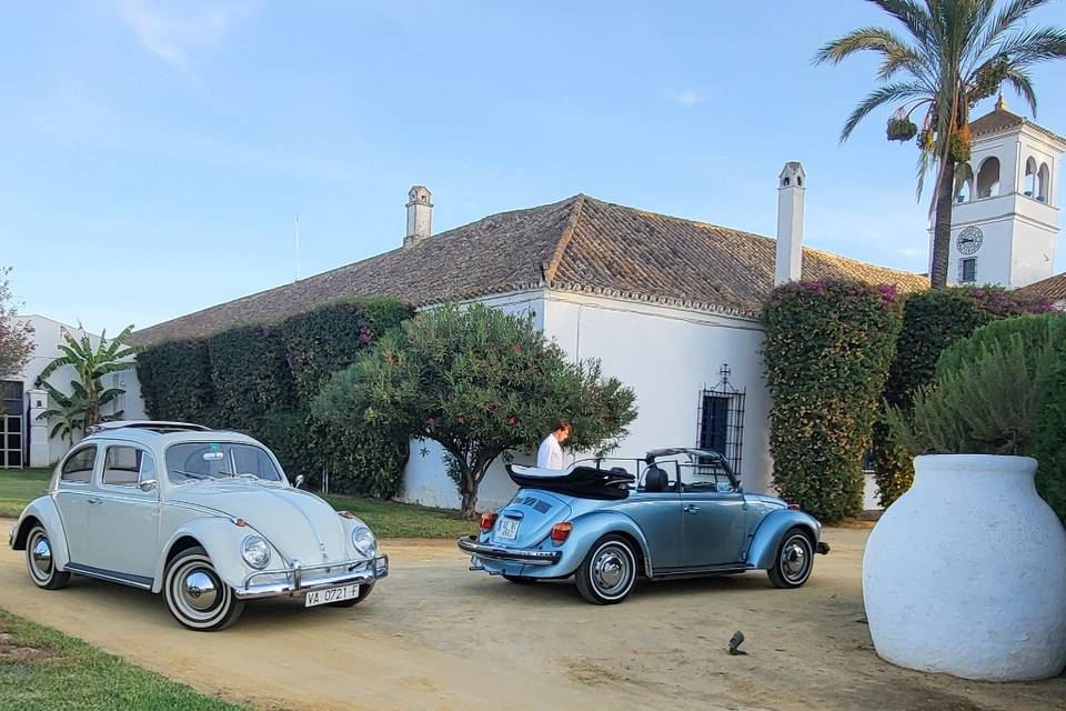 Maggiolino Classic Experience