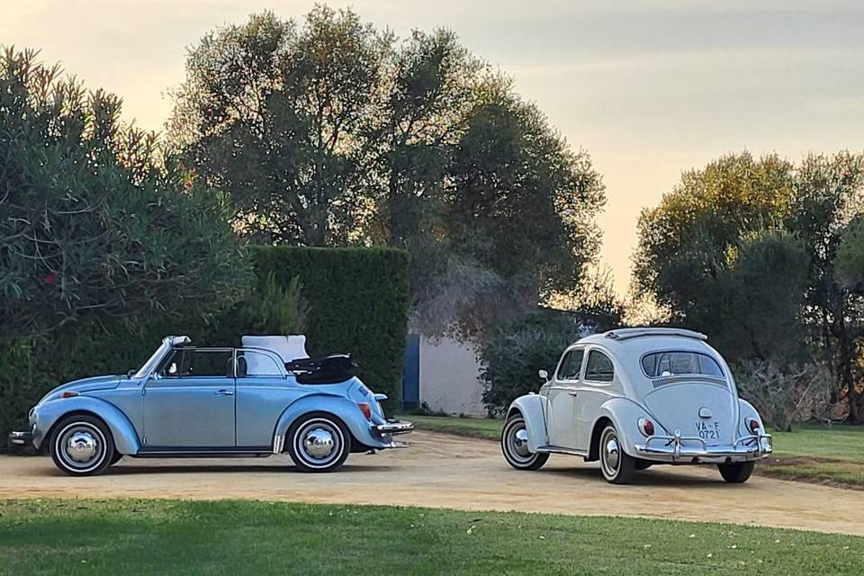 Maggiolinoclassicexperience