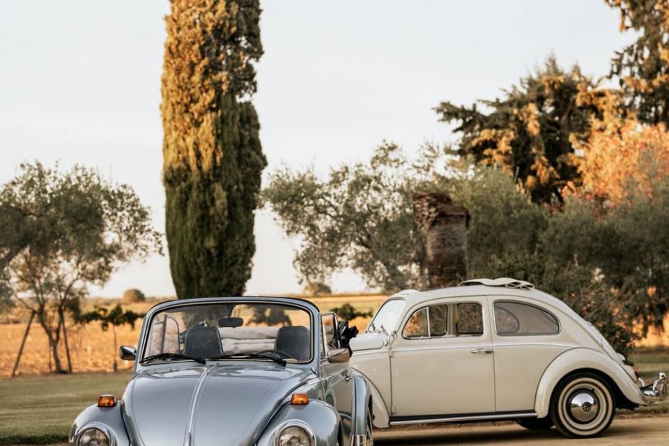 Maggiolinoclassicexperience
