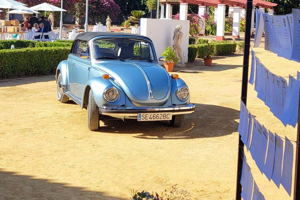 Maggiolinoclassicexperience