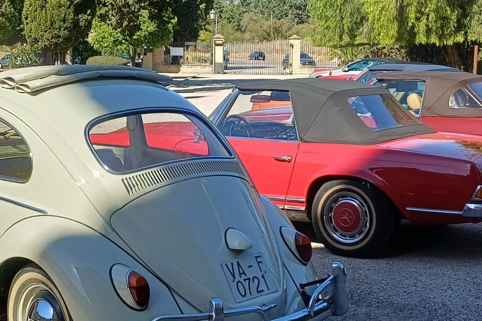 Maggiolinoclassicexperience