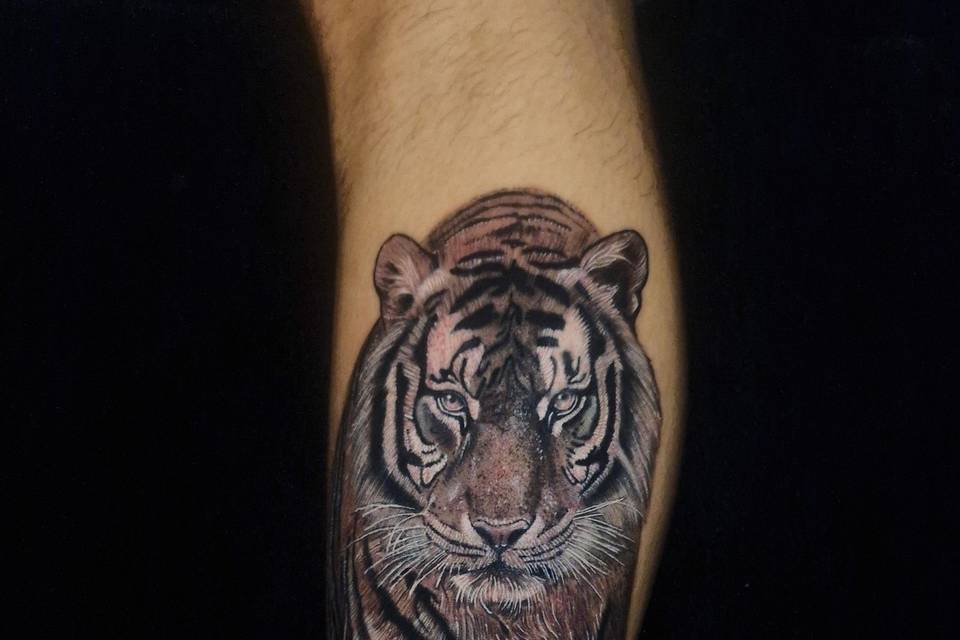 Tigre realista coverup