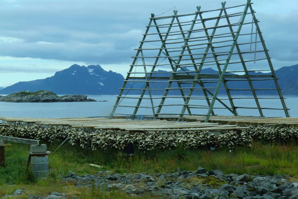 Islas Lofoten (Noruega)