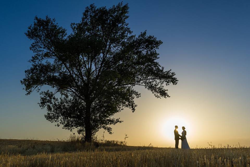 Rafael Martín Fotografía