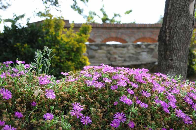 Detalles del jardín