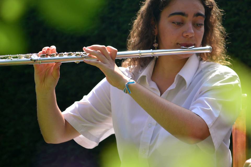 Grupo silenzio