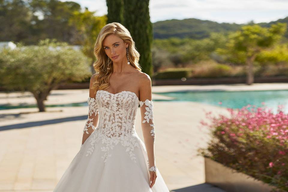 A. alier & Special Novia