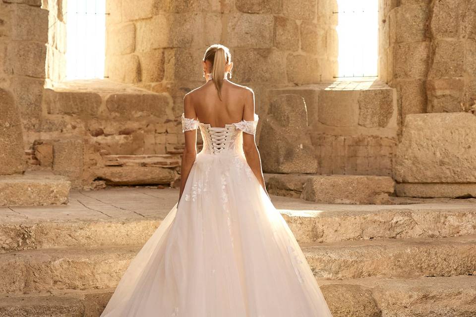 A. alier & Special Novia