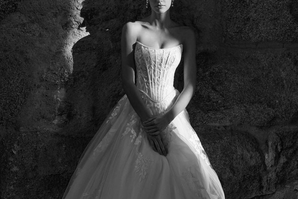 A. alier & Special Novia