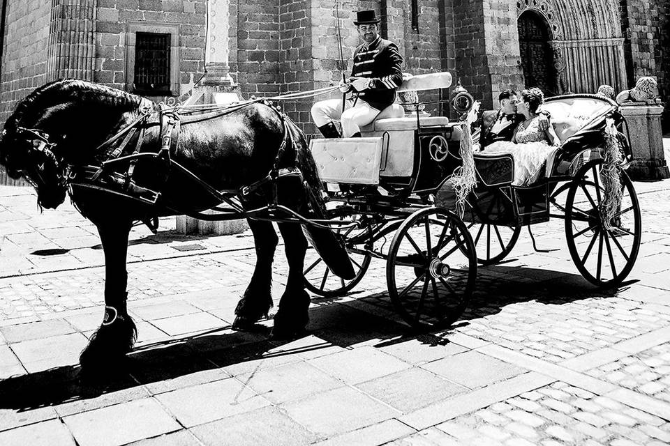 Fotografía y vídeo de calidad