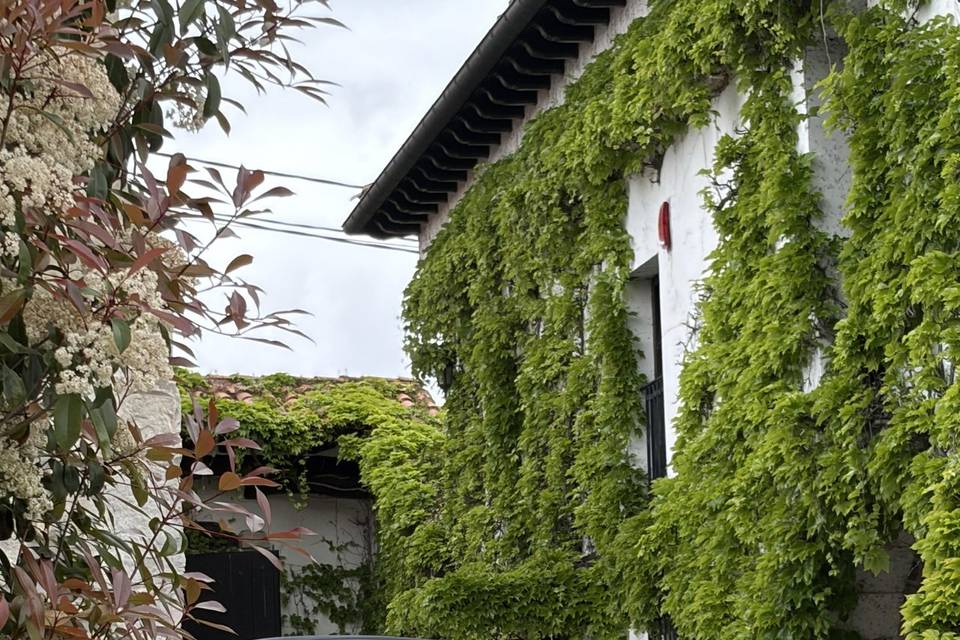 Casona de Suesa.