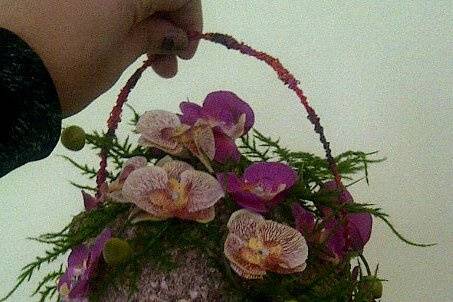 Floristeria Mayte