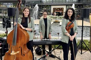 Trío Musical Seleggio