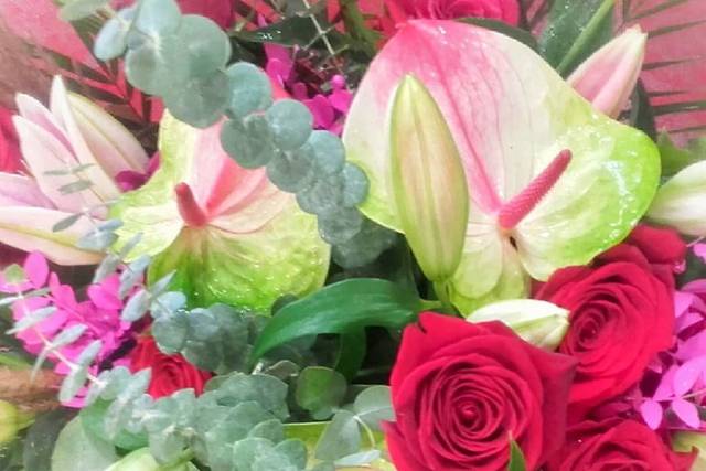 Rosas