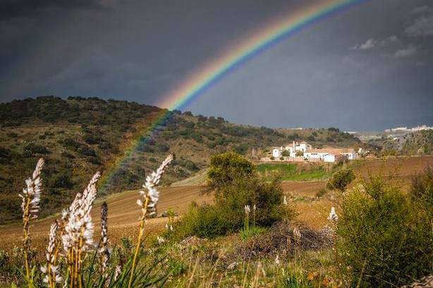 Ronda Mountain Resort