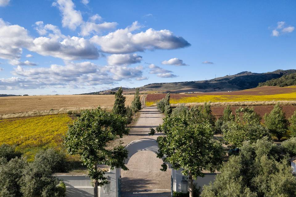 Camino entrada parking