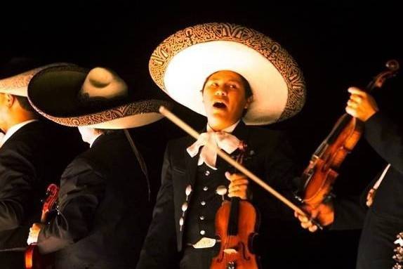 Mariachis profesionales