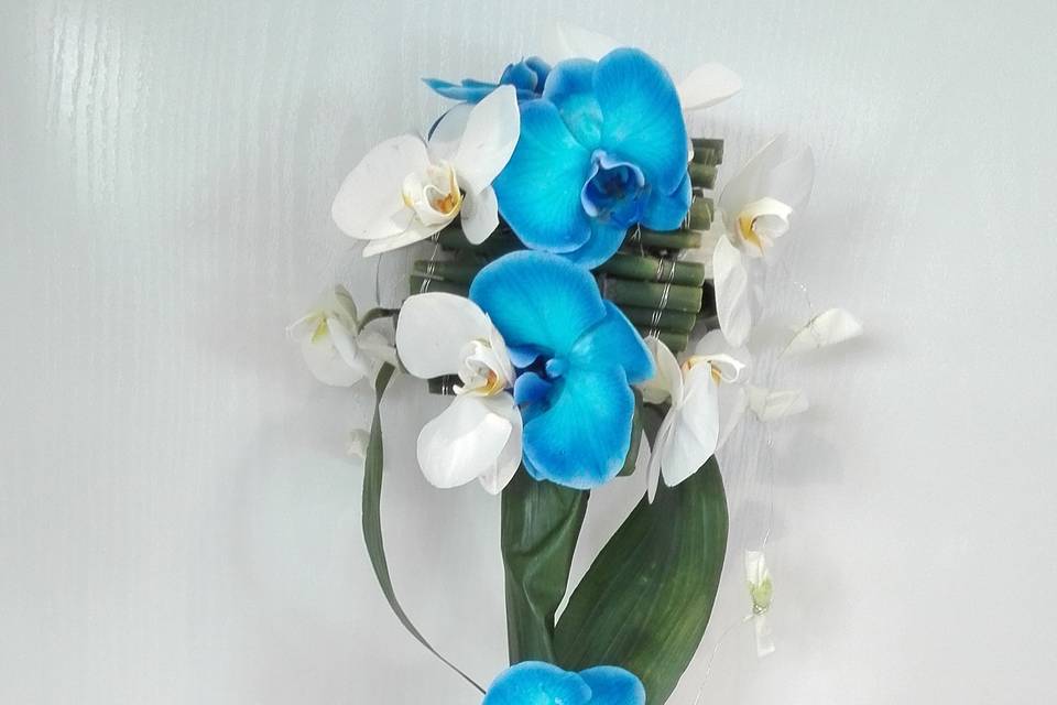 Orquídeas mix con caída