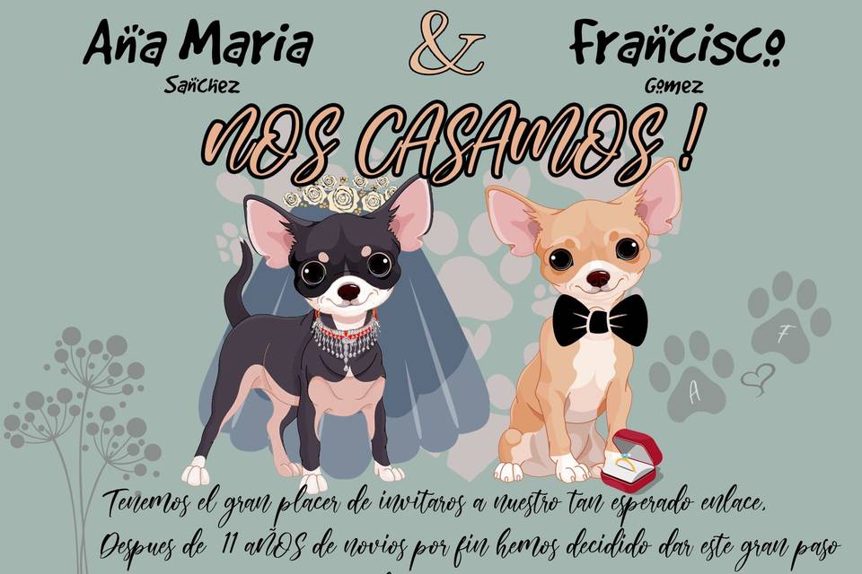 Tus amigos perrunos en tu invitación