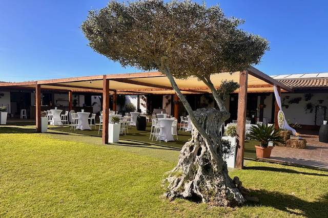 Coctel jardines