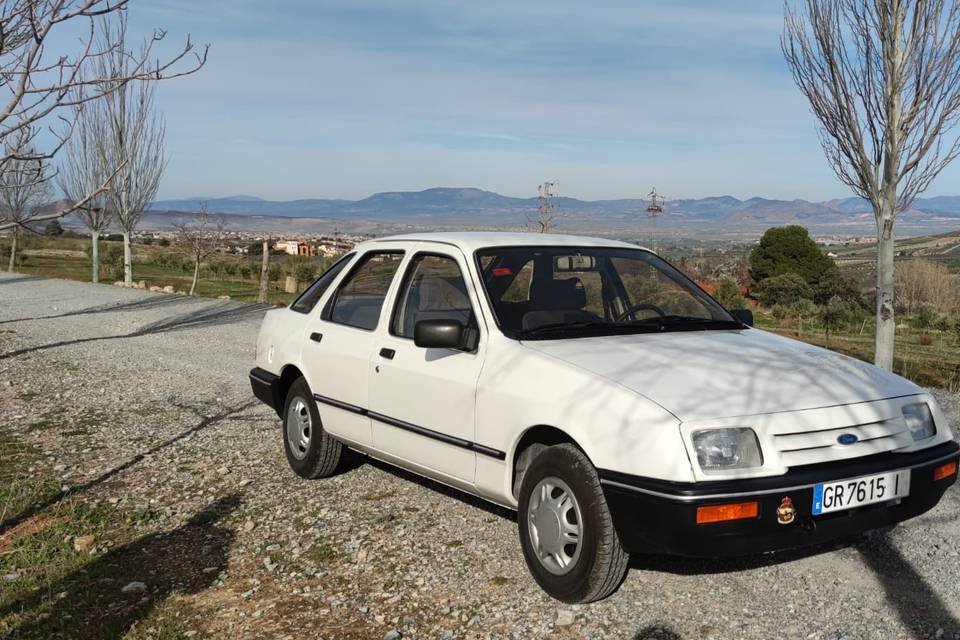 Celantera derecha