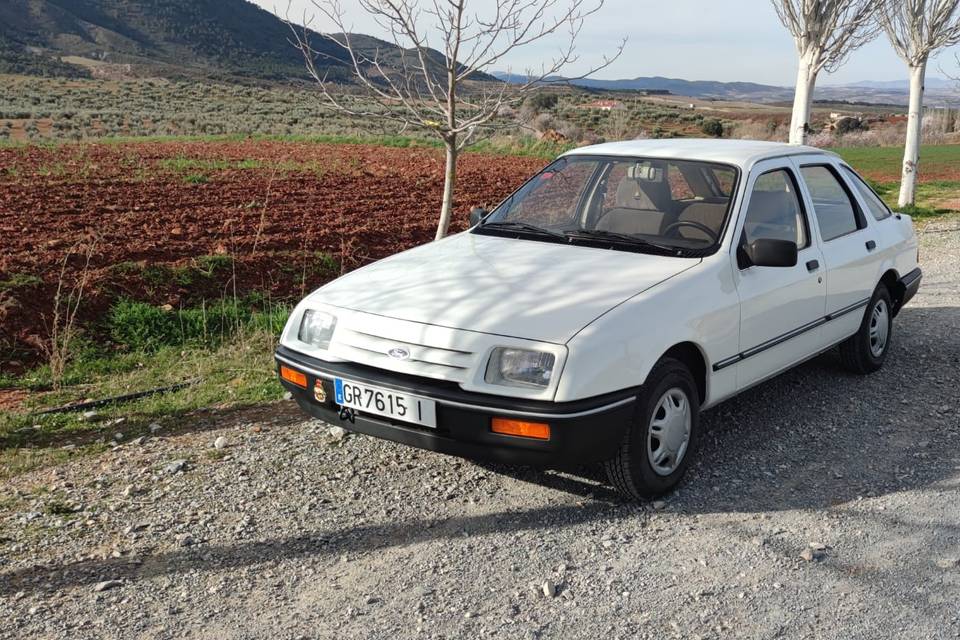 Delantera izquierda