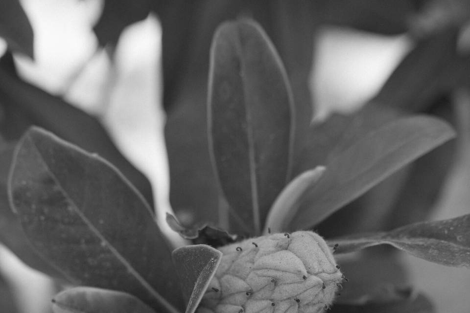 Detalles