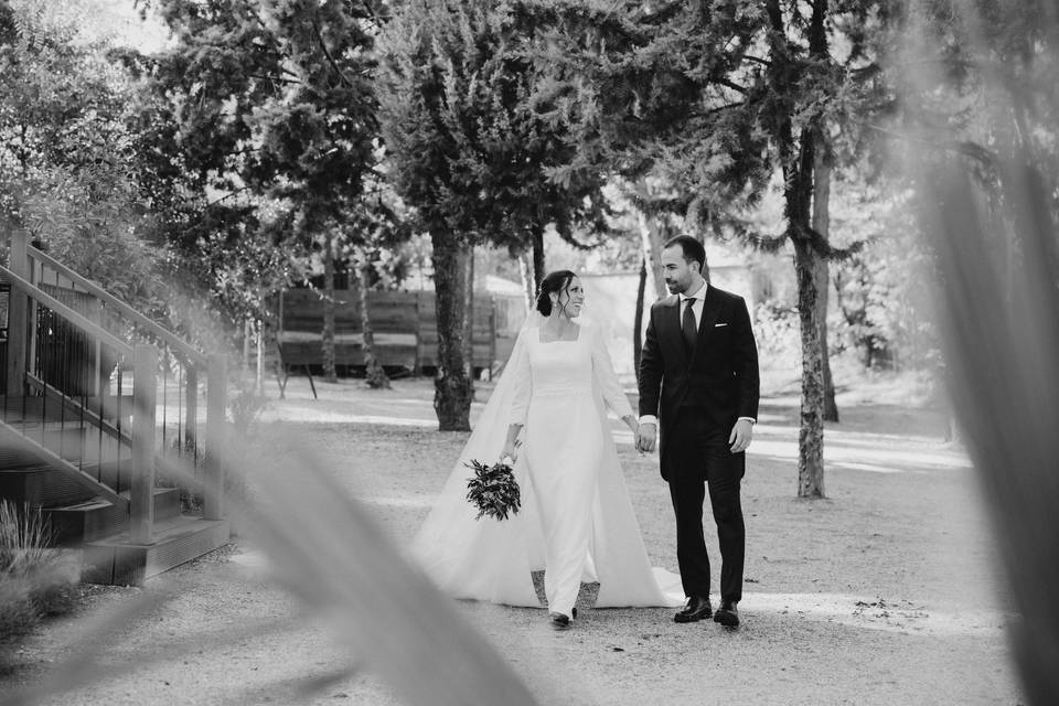 Novios