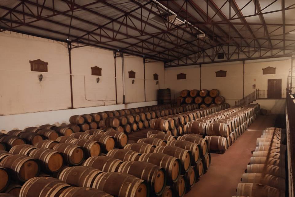 Bodegas Sani Viña Extremeña