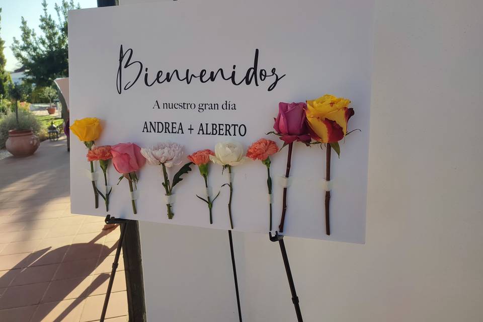 Bienvenida
