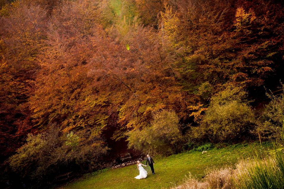 Postboda en el Faedo