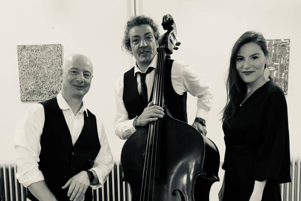 Trío acústico con voz