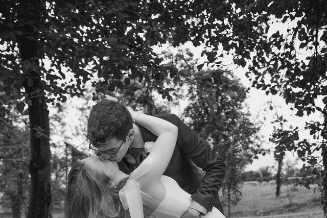 Novios