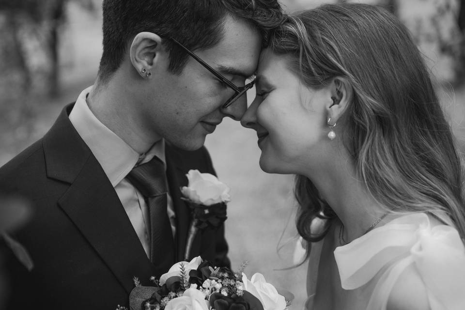 Novios