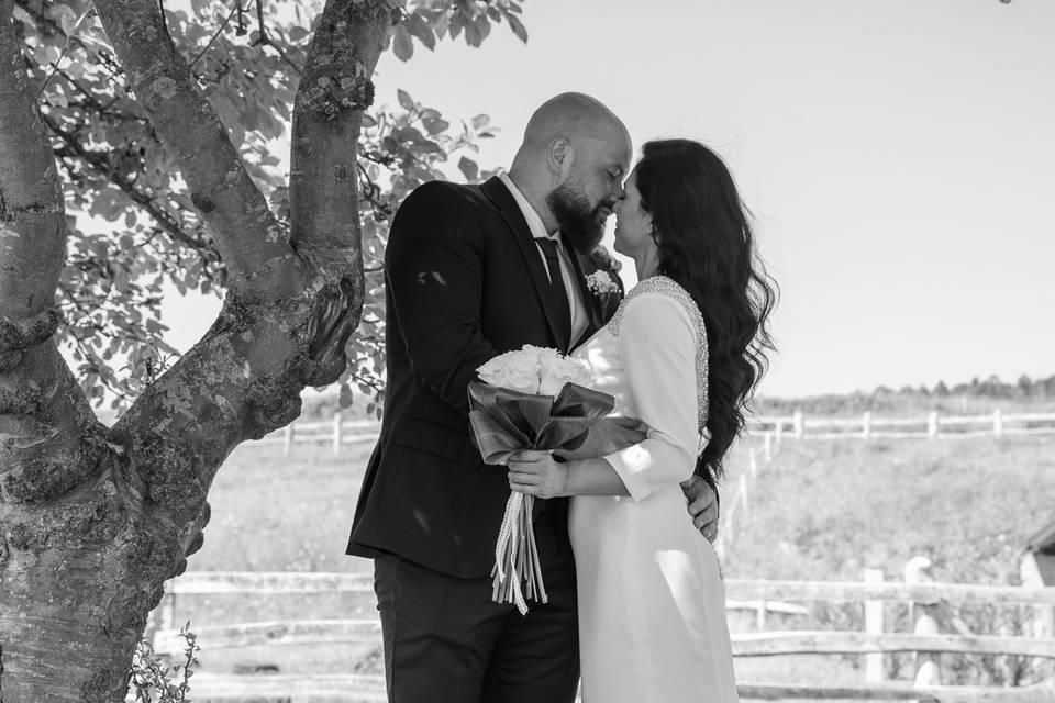 Novios