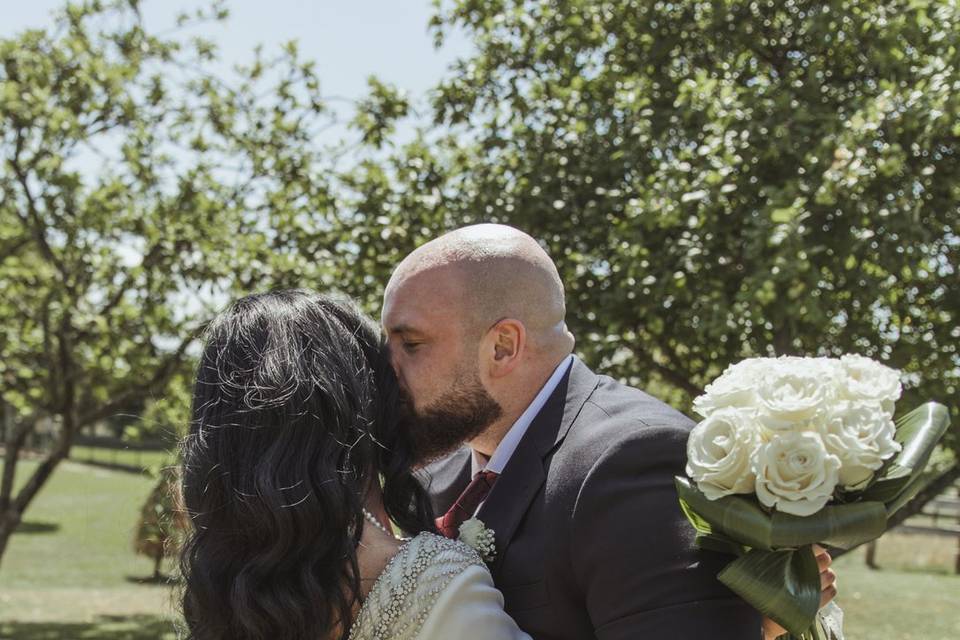Novios