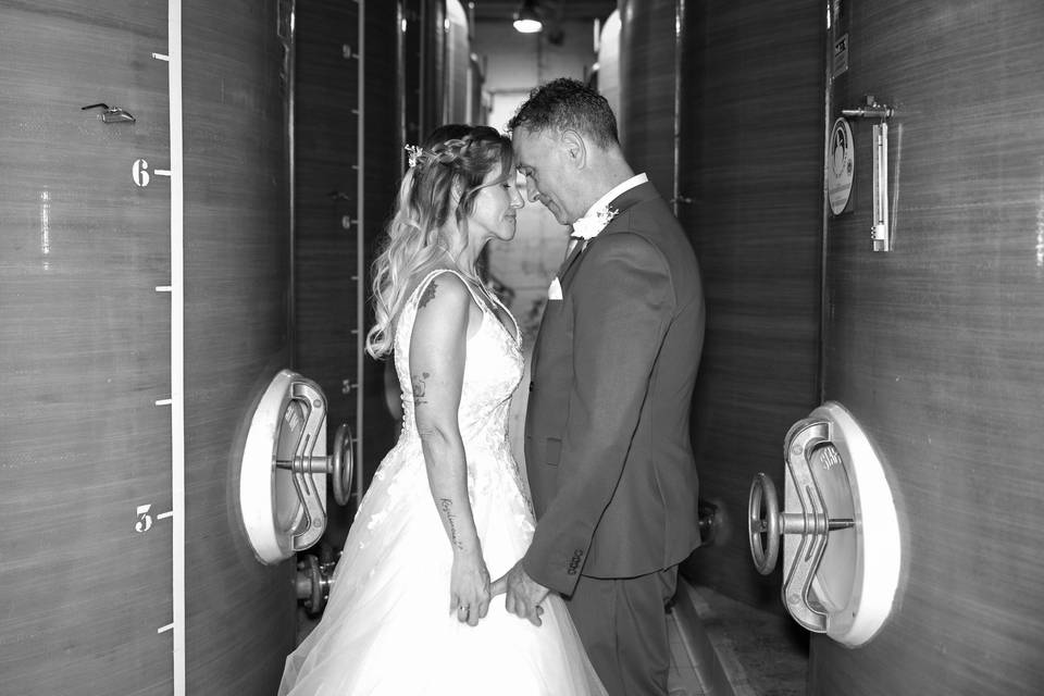 Novios