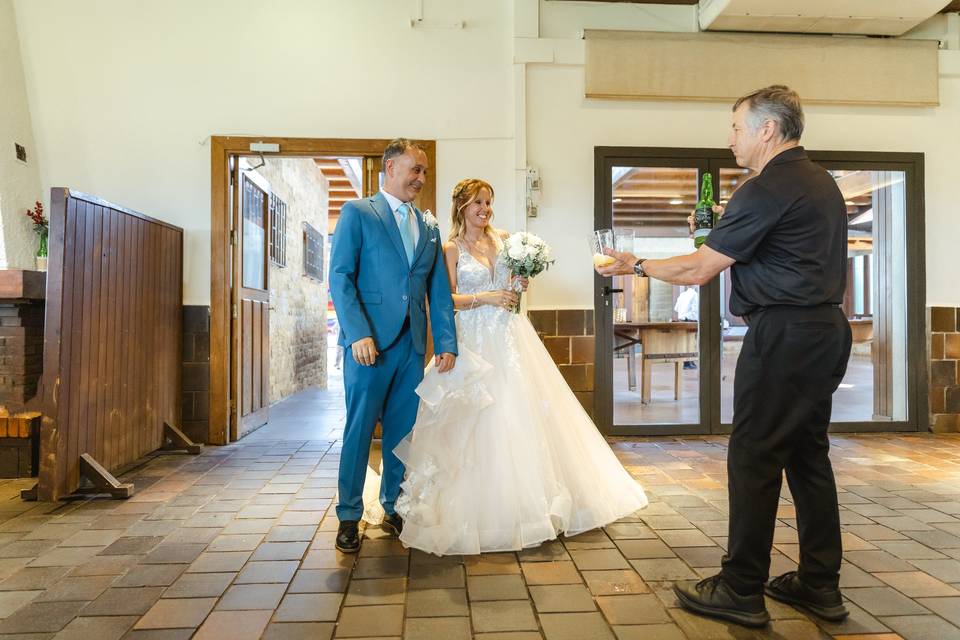 Novios