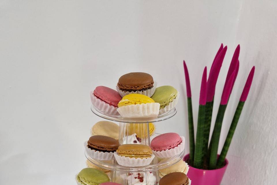 Macarons