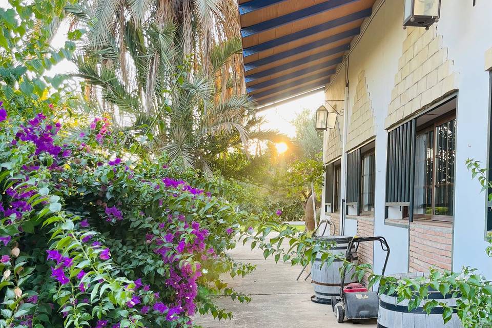 Finca