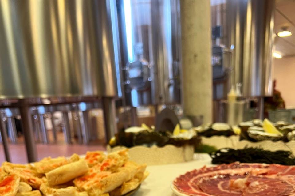 Bodegas Vega Sicilia