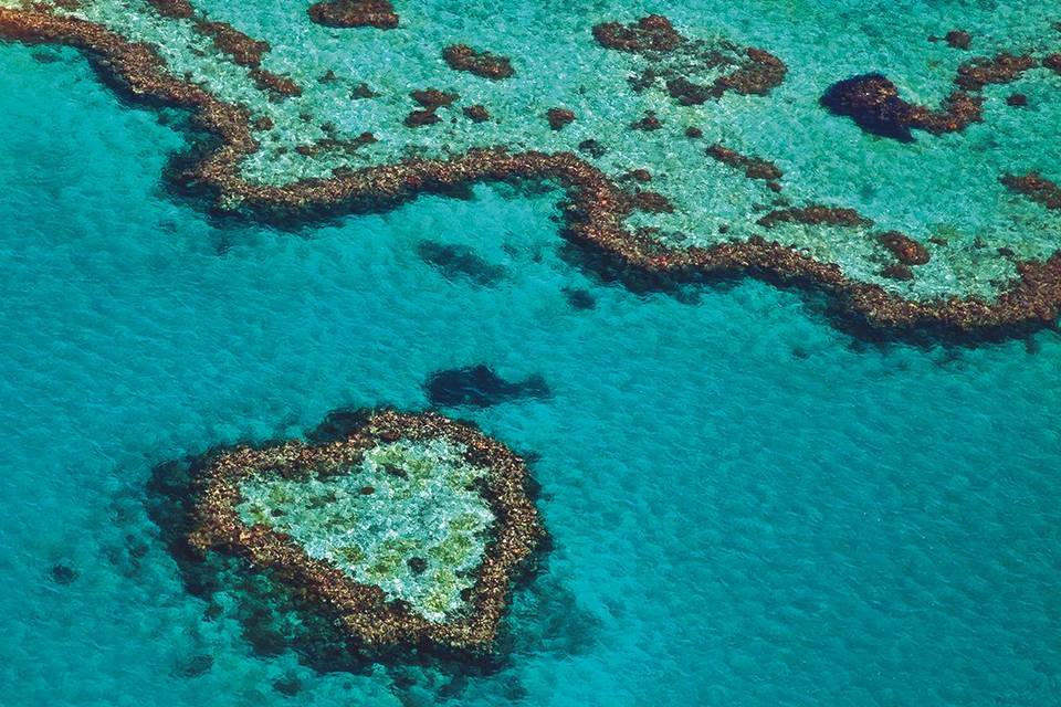 Barrera de coral de Australia