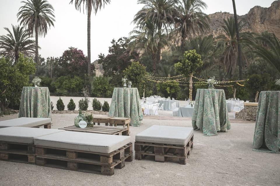 Vistas al palmeral