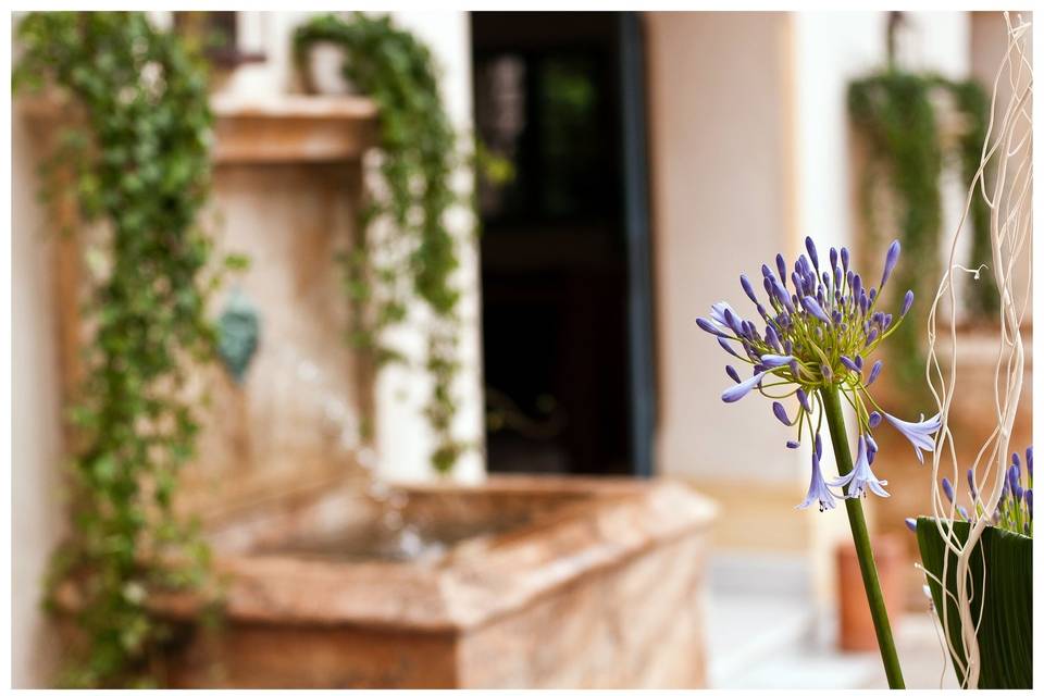 Jardines