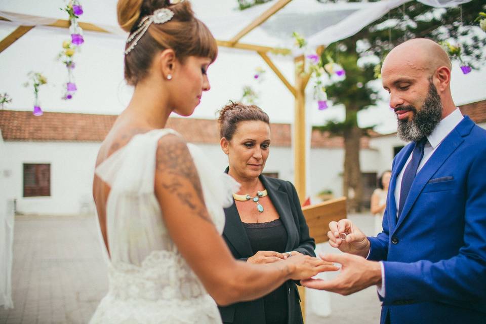 Alianzas novios con halcón