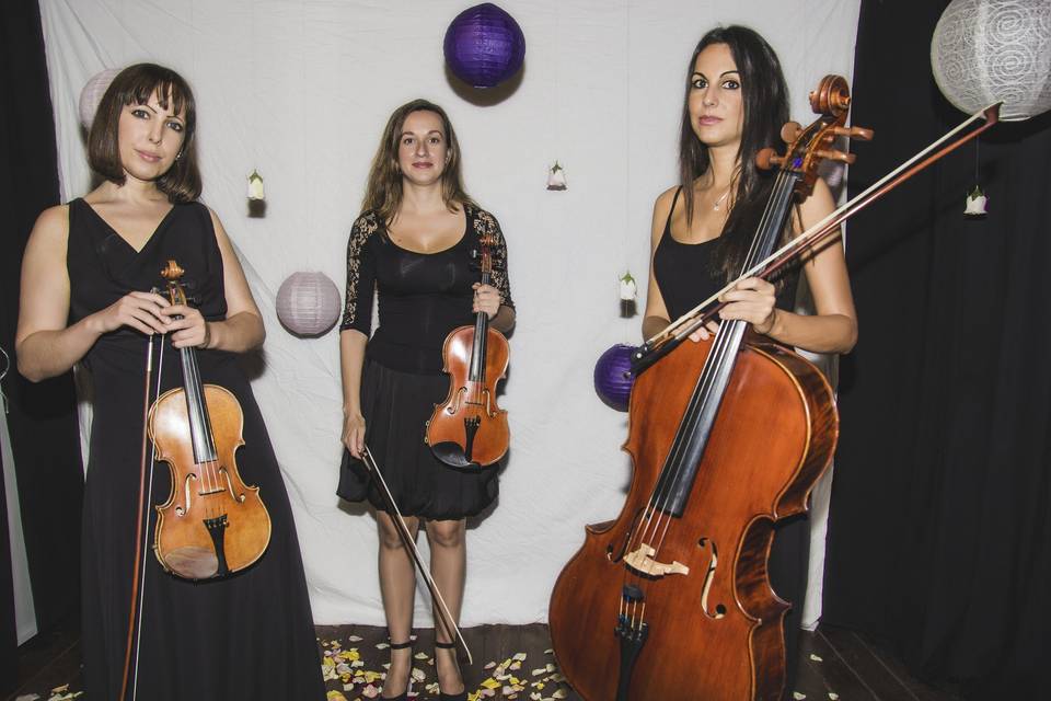 Alla Corda 2 violines y cello